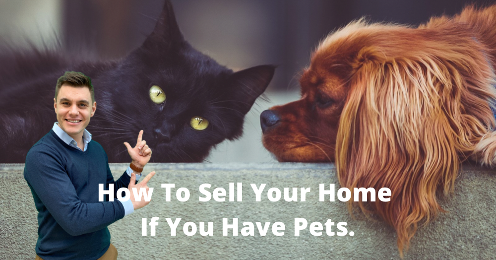 How To Sell Your Home If You Have Pets