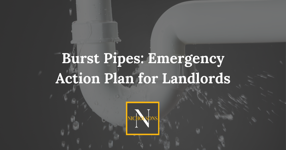 Burst Pipes: Emergency Action Plan for Landlords