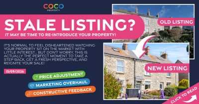 All Your Property Needs Is A Fresh Perspective
