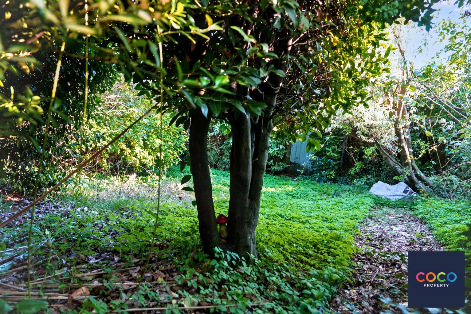 Property image 8