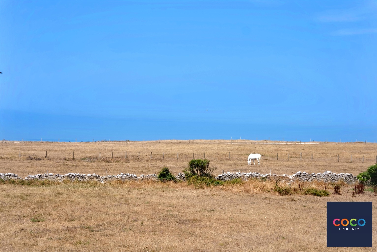 Stunning two Bed Apartment with Panoramic Sea Views, Portland Property image 5