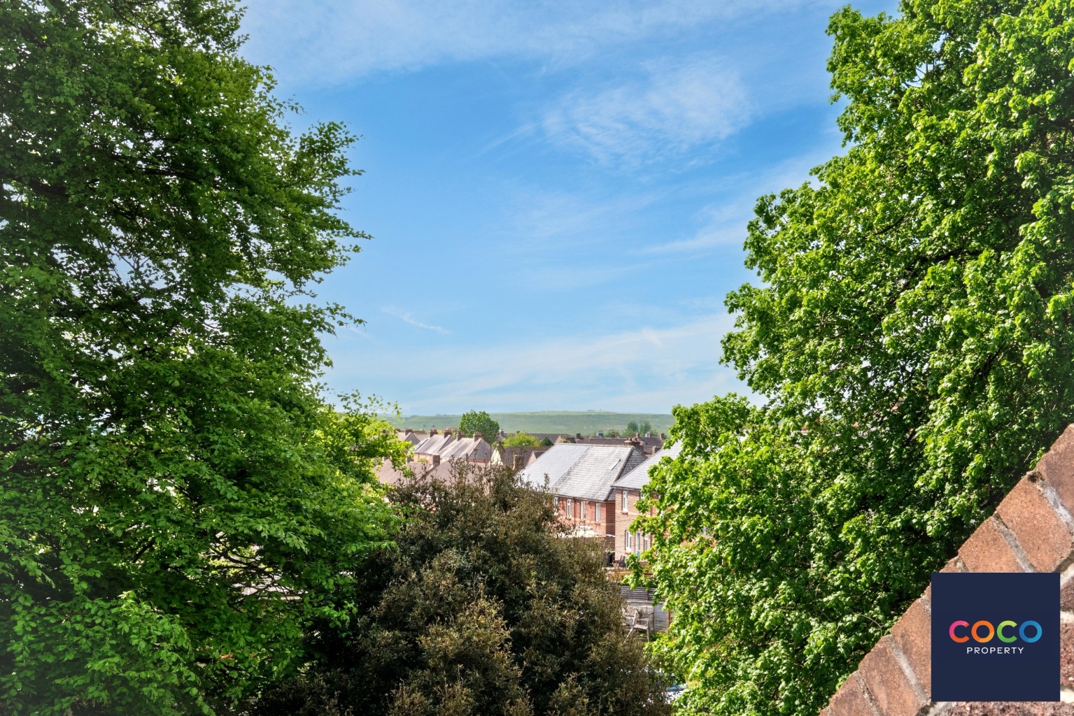 Charming Studio Suite with Balcony in Central Dorchester Property image 3