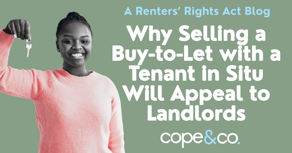 Why Selling a Buy-to-Let with a Tenant in Situ Will Be More Appealing for Landlords Why Selling a Buy-to-Let with a Tenant in Situ Will Be More Appealing for Landlords