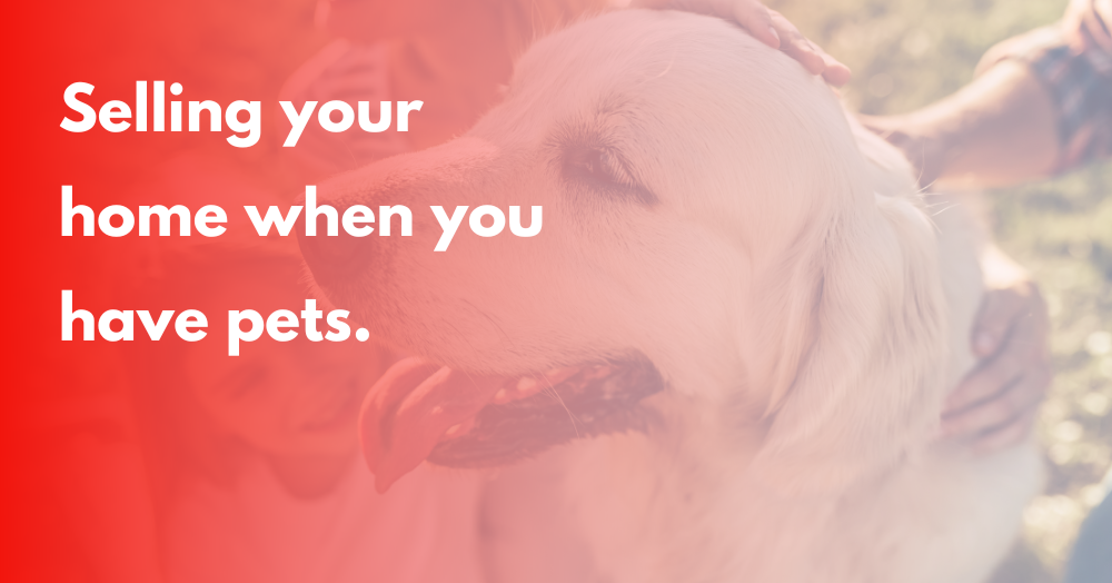 Selling with pets? A little preparation can help buyers focus on your home, not the pets.