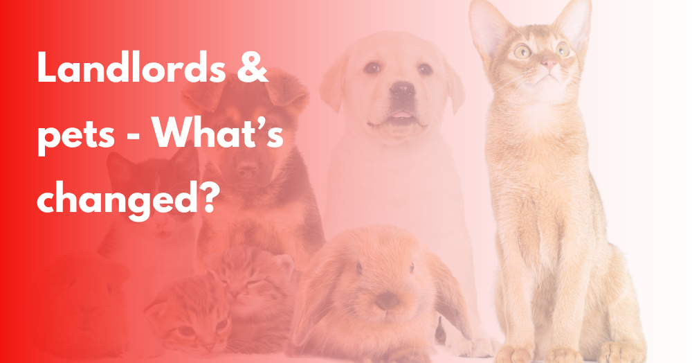 Landlords And Pets: What's Changed?