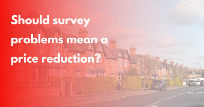 What Happens If a Property Survey Finds Problems?