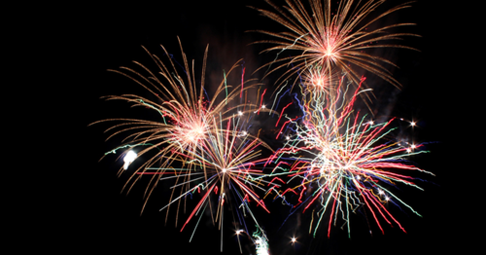 What’s on guide: November