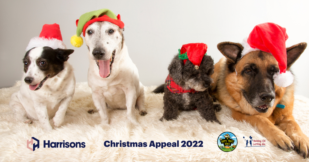 Harrisons Christmas Gift Appeal