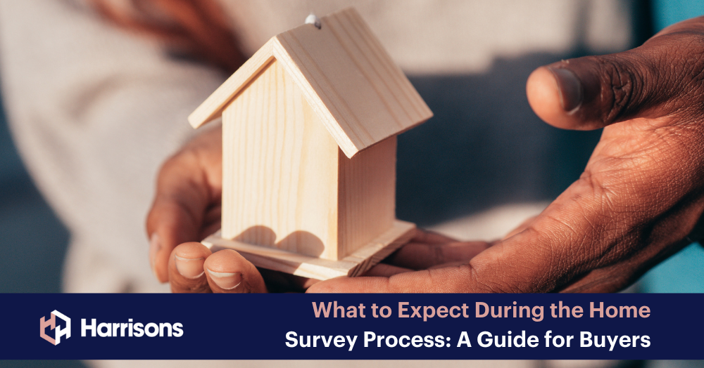 What to Expect During the Home Survey Process: A Guide for Buyers