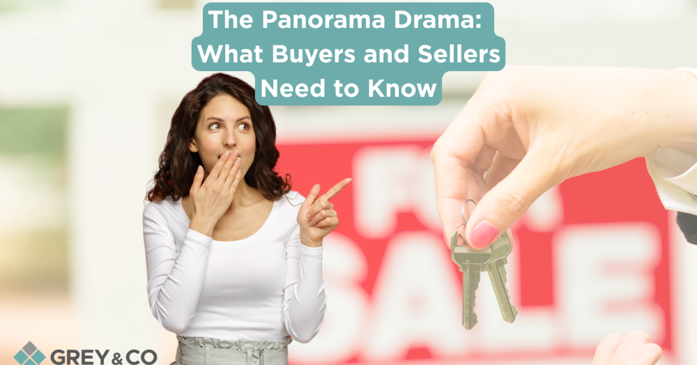 The Panorama Drama: What Buyers and Sellers Need to Know