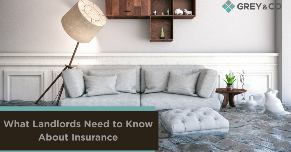 What Landlords in Wembley Need to Know About Insurance What Landlords in Wembley Need to Know About Insurance