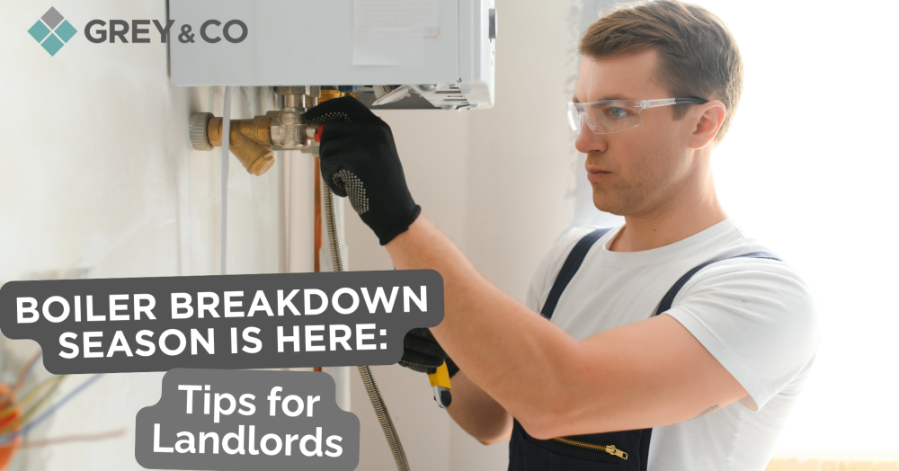 Boiler Breakdown Season is Here: Tips for Wembley Landlords Boiler Breakdown Season is Here: Tips for Wembley Landlords