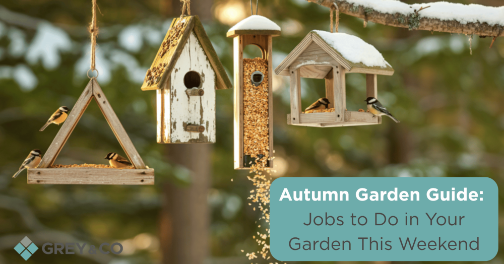 Autumn Garden Guide: Jobs to Do in Your Wembley Garden This Weekend Autumn Garden Guide: Jobs to Do in Your Wembley Garden This Weekend