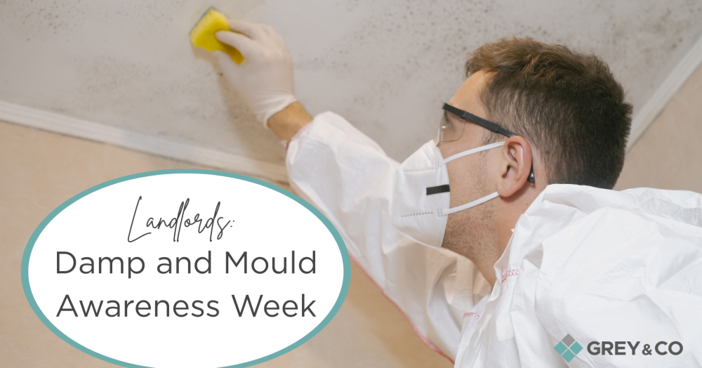 Landlords in Wembley: Damp and Mould Awareness Week Landlords in Wembley: Damp and Mould Awareness Week