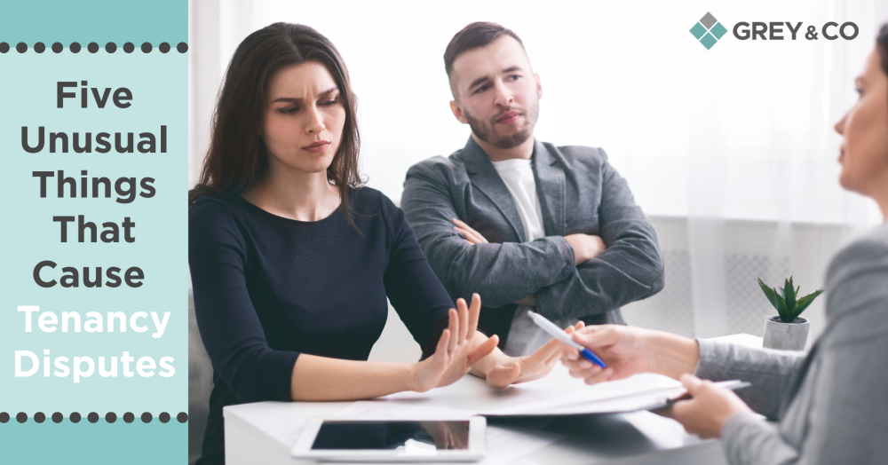 Five Unusual Things That Cause Wembley Tenancy Disputes