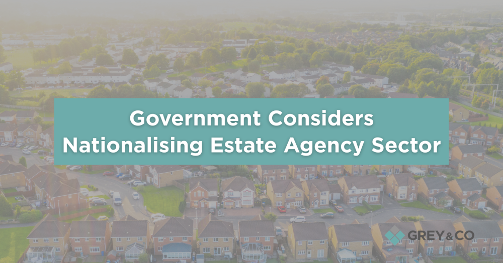 Government Considers Nationalising Estate Agency Sector