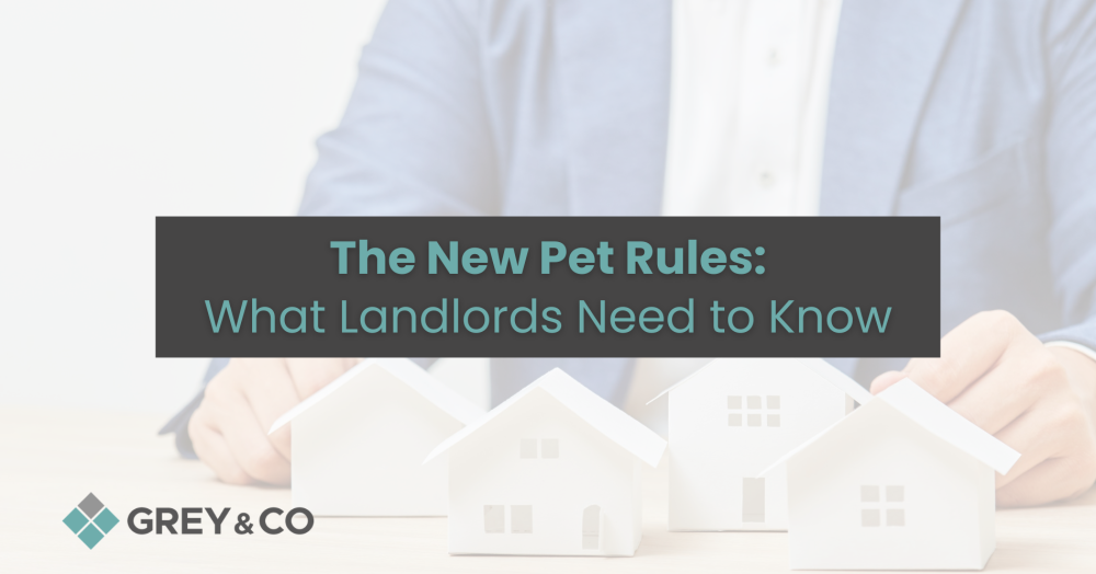 The New Pet Rules: What Landlords Need to Know