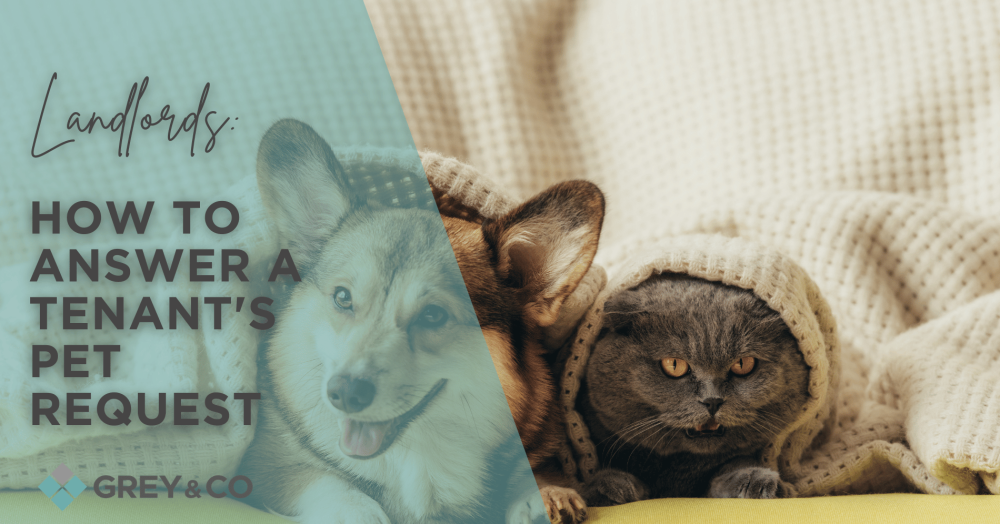 Landlords: How To Answer A Tenant's Pet Request