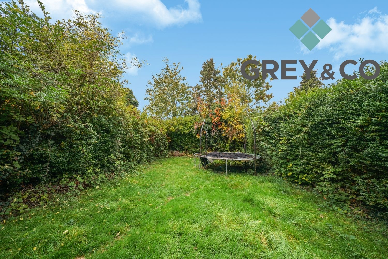 property first image