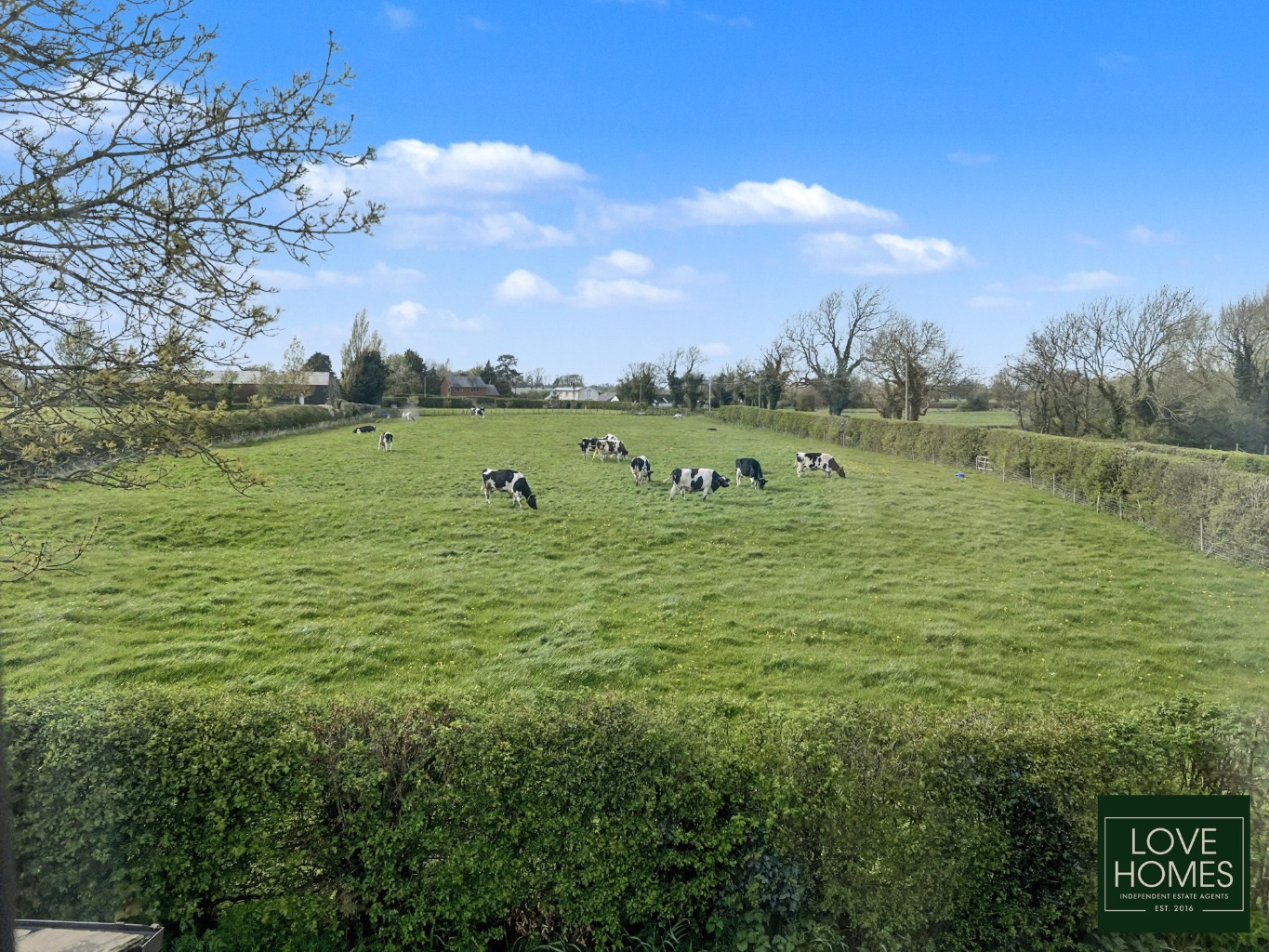 Renovation Project: 4-Bed House, Rural Location & Views, Pool, Preston Area Property image 26