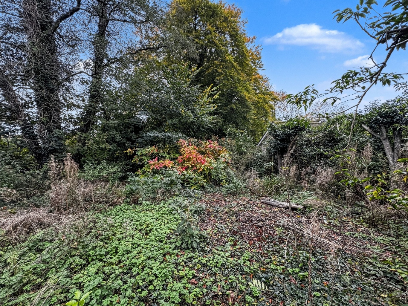Property image 31