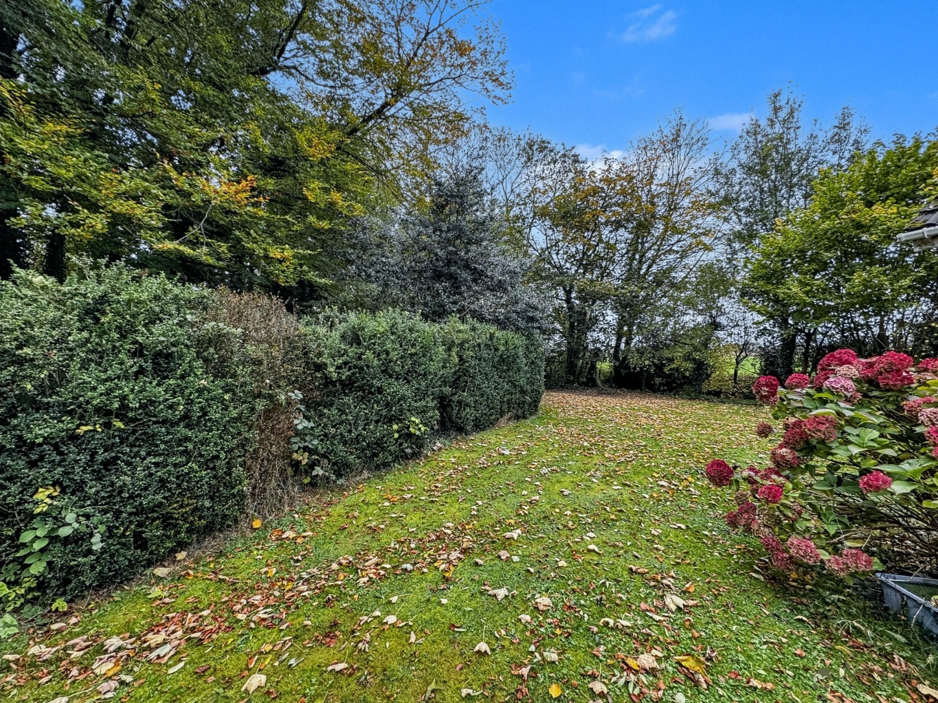 Property image 32