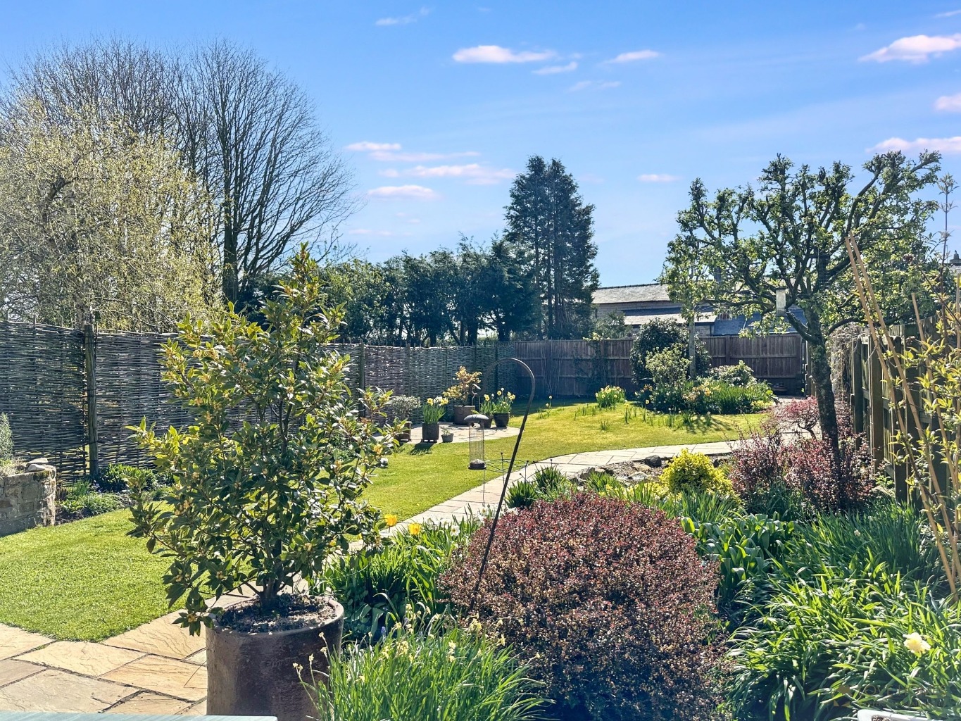 Property image 40