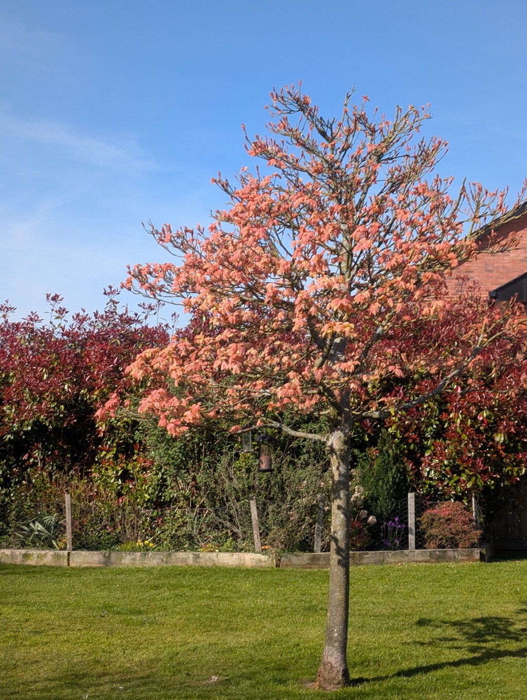 A Country Home Where Charm Meets Tranquillity Property image 27