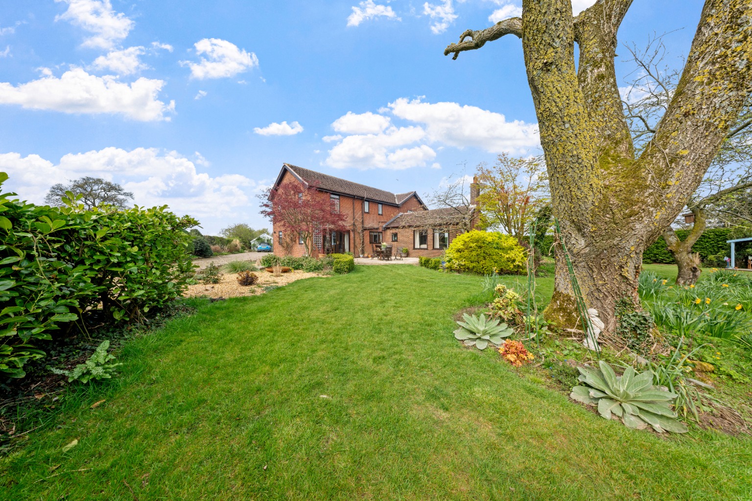 Property image 36