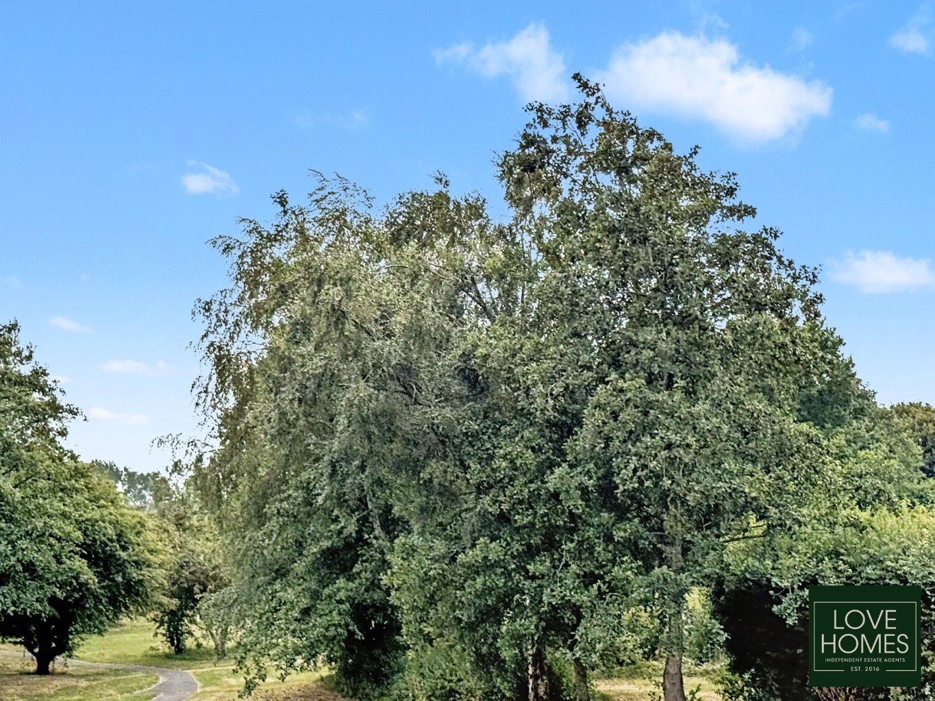 Extremely Spacious Three-Bedroom Family Home , Three Reception Rooms And Generous Rear Garden Property image 21