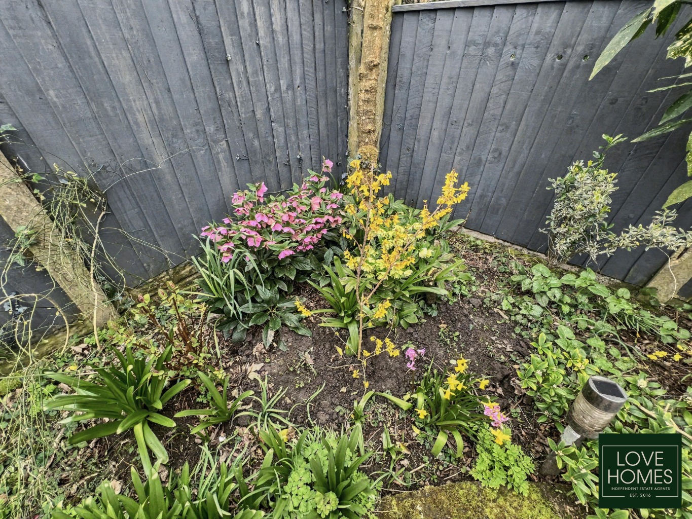 Property image 17