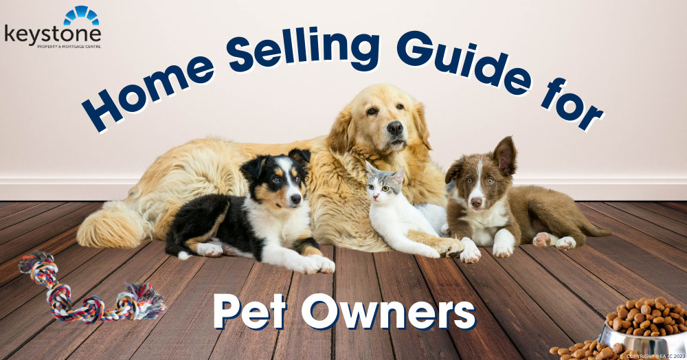 How to Sell Your Flintshire Home When You’ve Got Pets