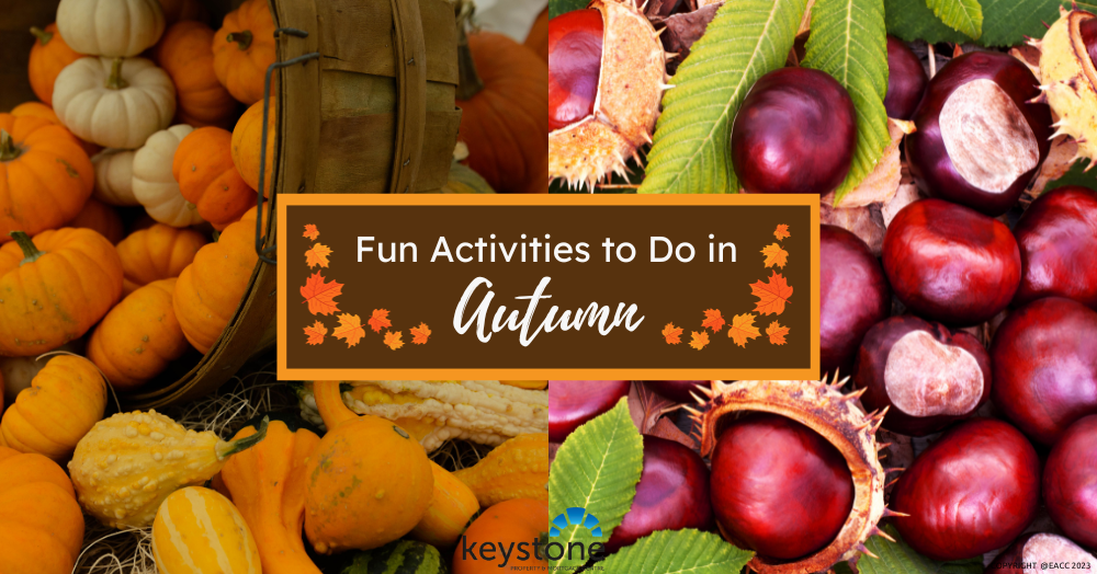 Autumn Activity Guide for Flintshire Residents