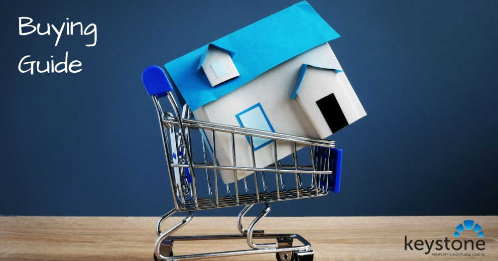 Buyer Guide Buyer Guide