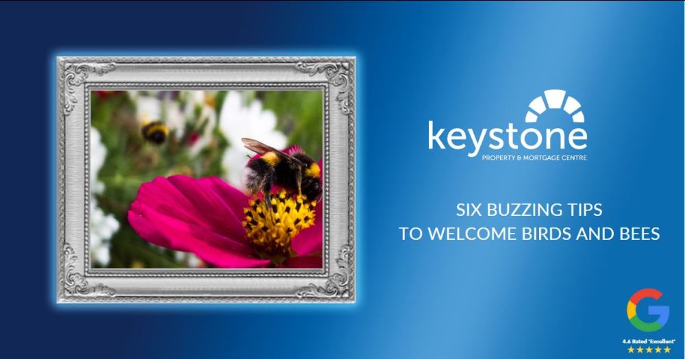 Six Buzzing Tips to Welcome Bees and Birds in Flintshire 🐝