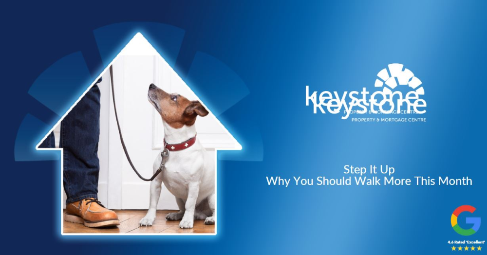 Step It Up: Why You Should Walk More in Flintshire This Month🚶