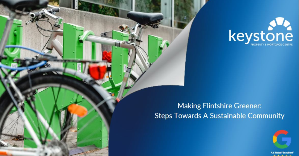 Transforming Flintshire into an Eco-Friendly Community ✔️ Transforming Flintshire into an Eco-Friendly Community ✔️