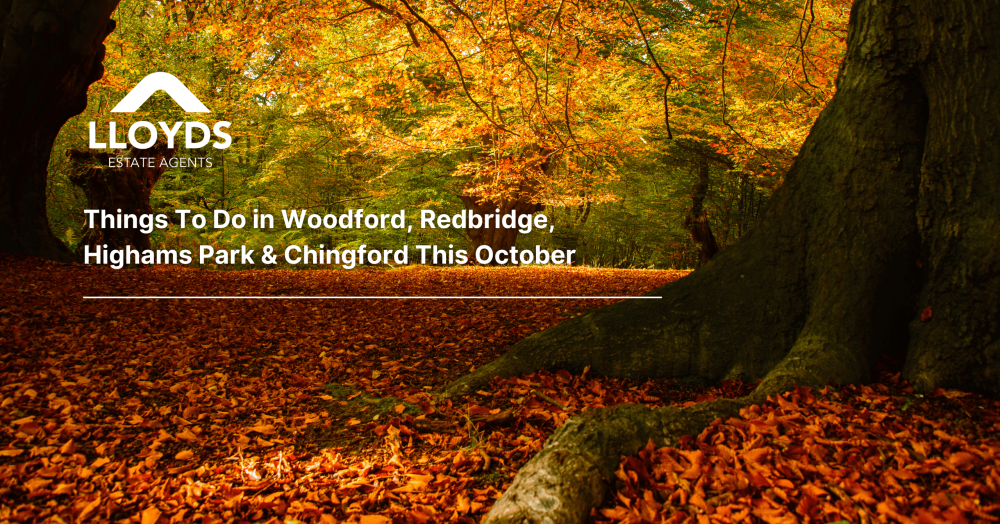 🍁 Things To Do in Woodford, Redbridge, Highams Park & Chingford This October