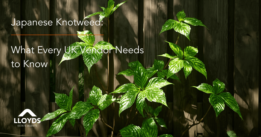 Japanese Knotweed: What Every UK Vendor Needs to Know