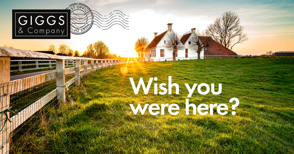 Wish you were here?