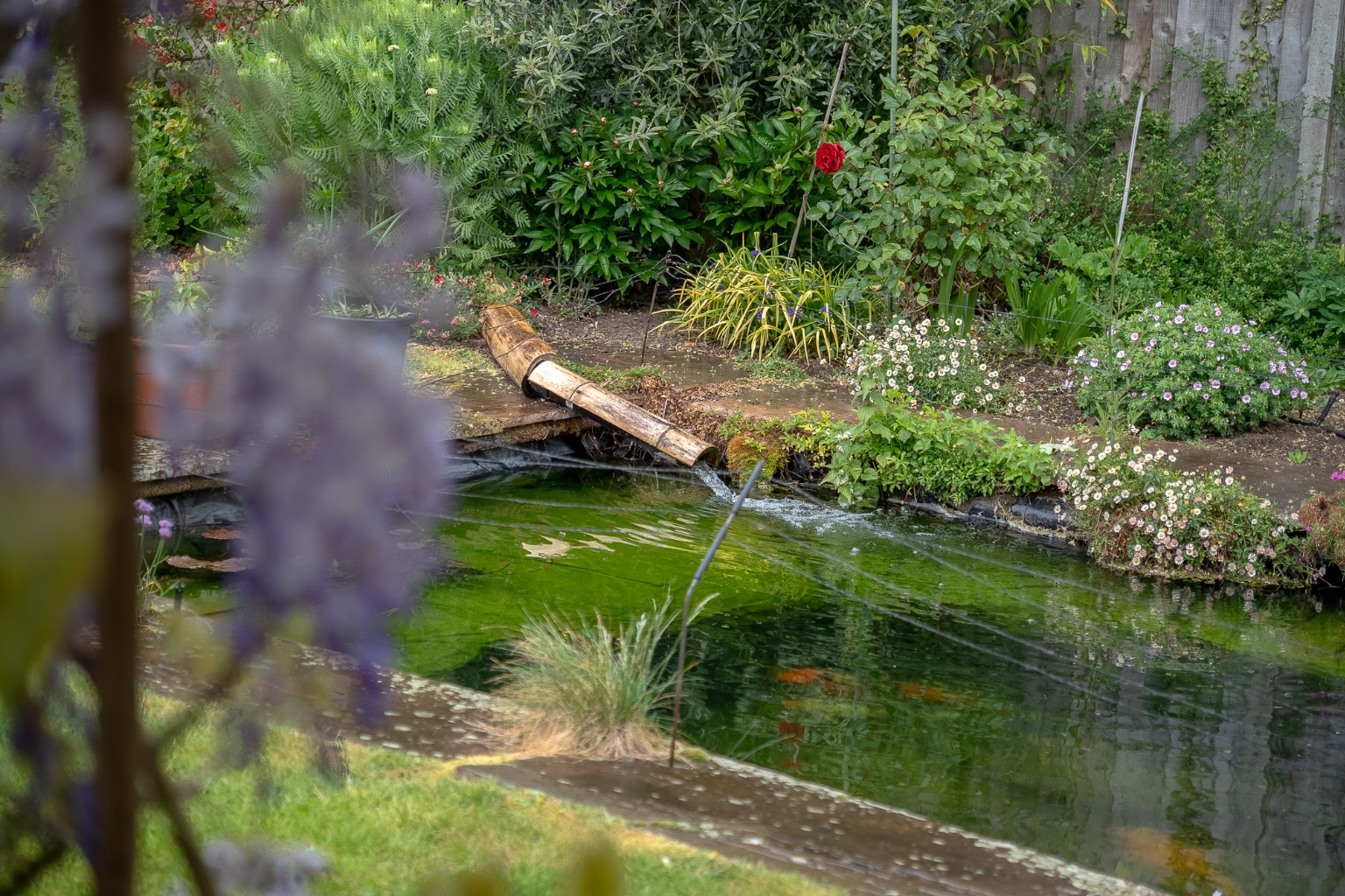 Property image 31