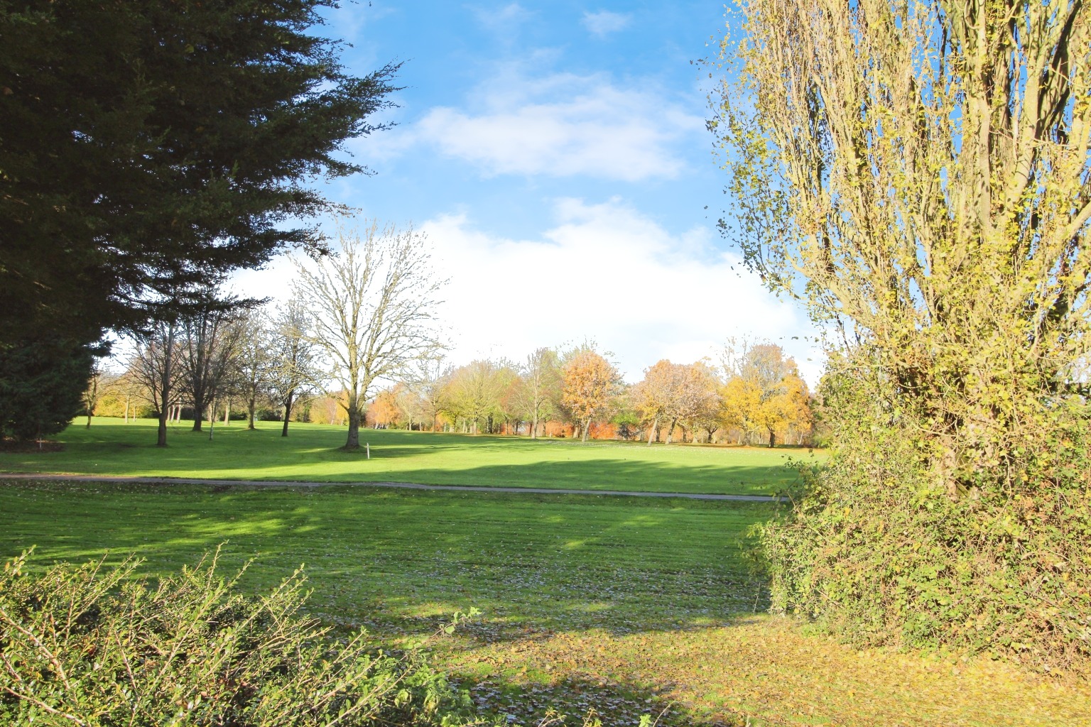 Property image 23