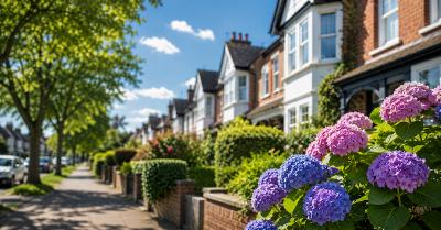 The Summer Buyer’s Advantage: Search Smarter