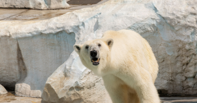 How to Keep Your Investment Property Free from Maintenance Issues This Winter. How to Keep Your Investment Property Free from Maintenance Issues This Winter.