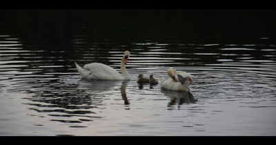 Living in Wells: Why It’s a Hidden Gem for Renters Living in Wells: Why It’s a Hidden Gem for Renters