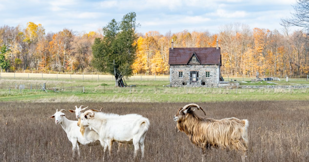 Renting Out Your Property in Glastonbury: A Quick Guide for Landlords