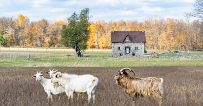 Renting Out Your Property in Glastonbury: A Quick Guide for Landlords