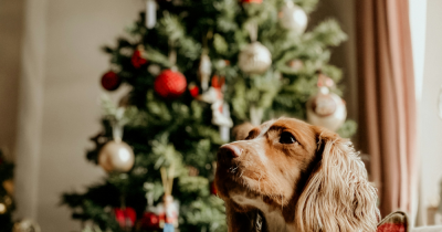 Are You Ready for the Renters’ Rights Act?