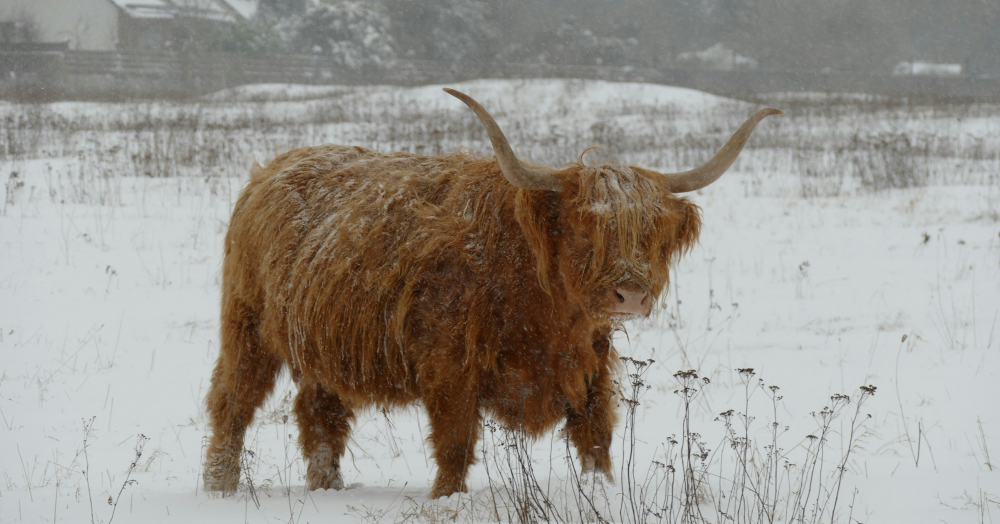8 Reasons to Let Your Property This Winter in Somerset