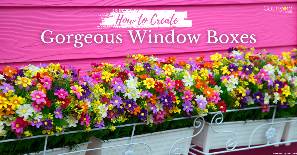 How to Create Gorgeous Window Boxes